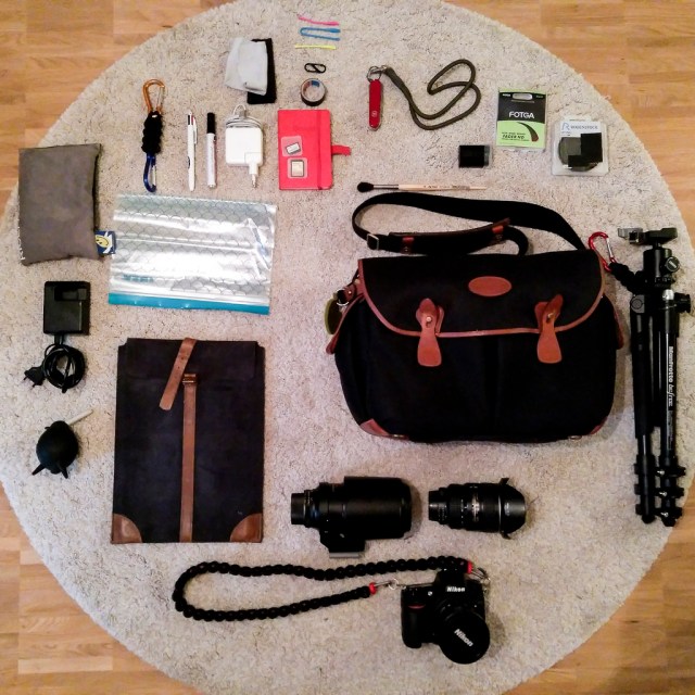 37364288526_114dd36ac8_b