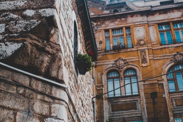 38216566932_e69a8edbb2_b