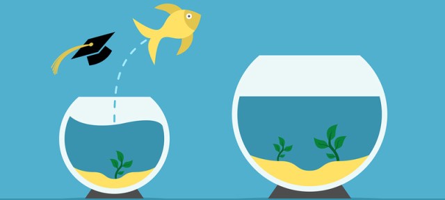 full_Vitae2-fish-big-bowl_copy